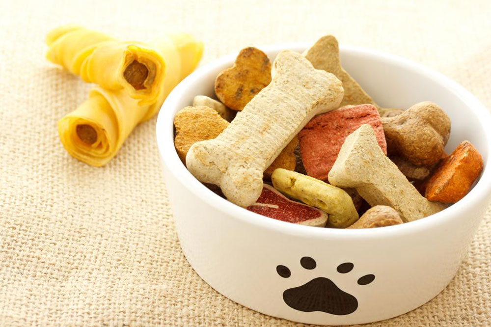 Aspects to consider while selecting the best dog food