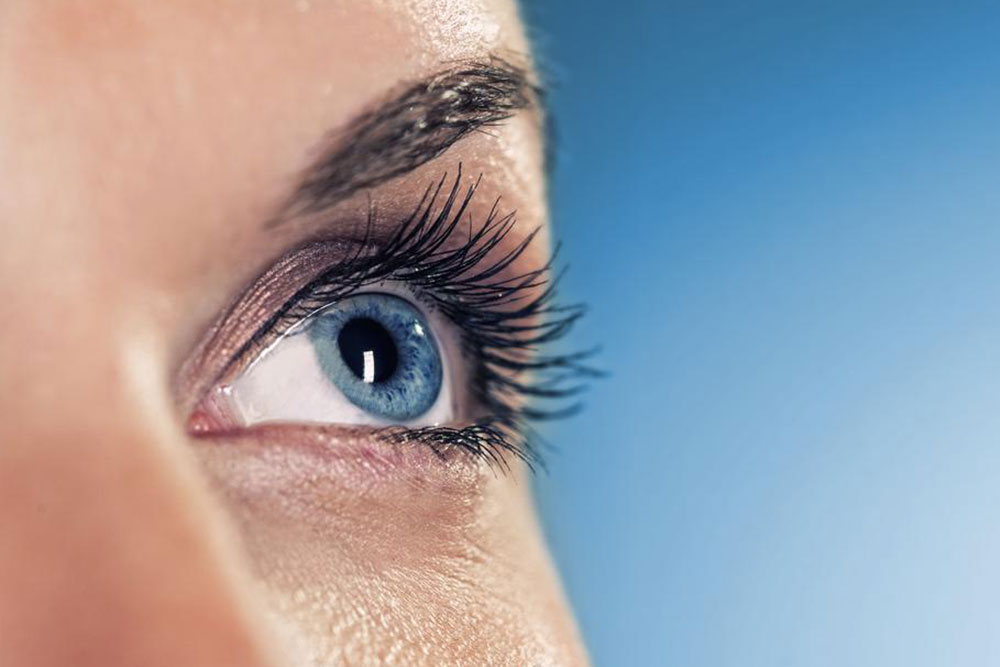 Top 10 Supplements for Eye Health